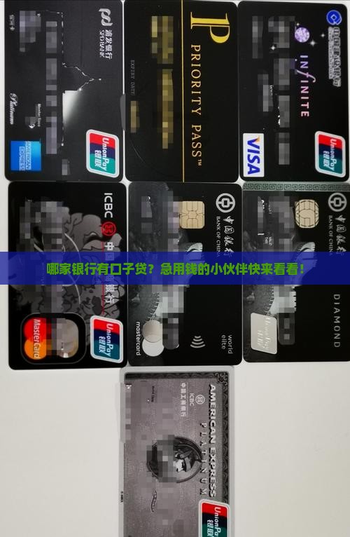 哪家银行有口子贷款业务