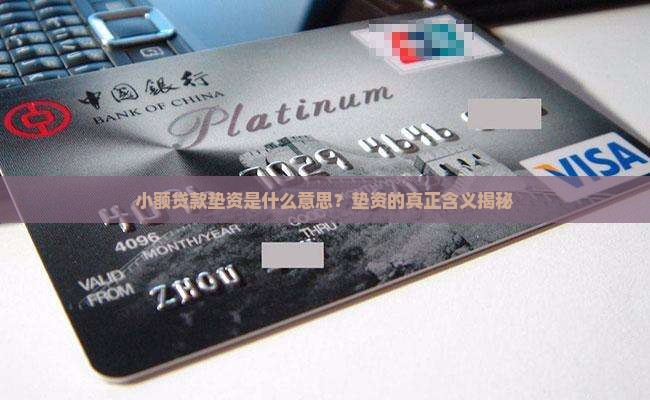 小额贷款垫资是什么意思