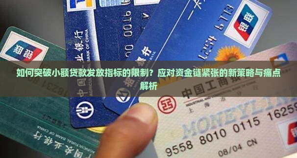 小额贷款发放指标
