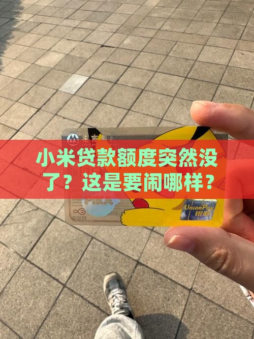 小米贷款会不会取消额度 小米贷款会不会取消额度