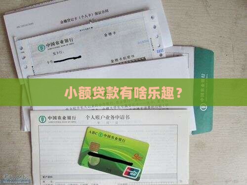 小额贷款有个什么乐
