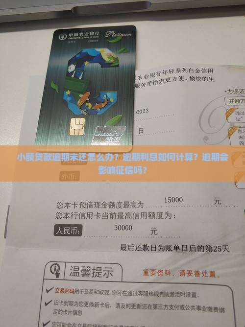 小额贷款未还