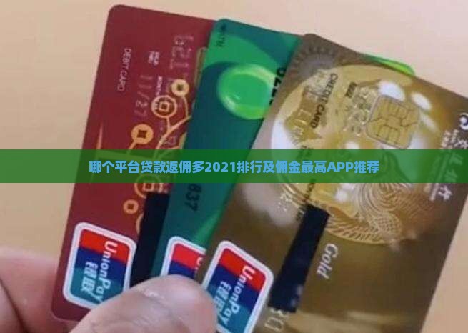 哪个平台贷款返佣多