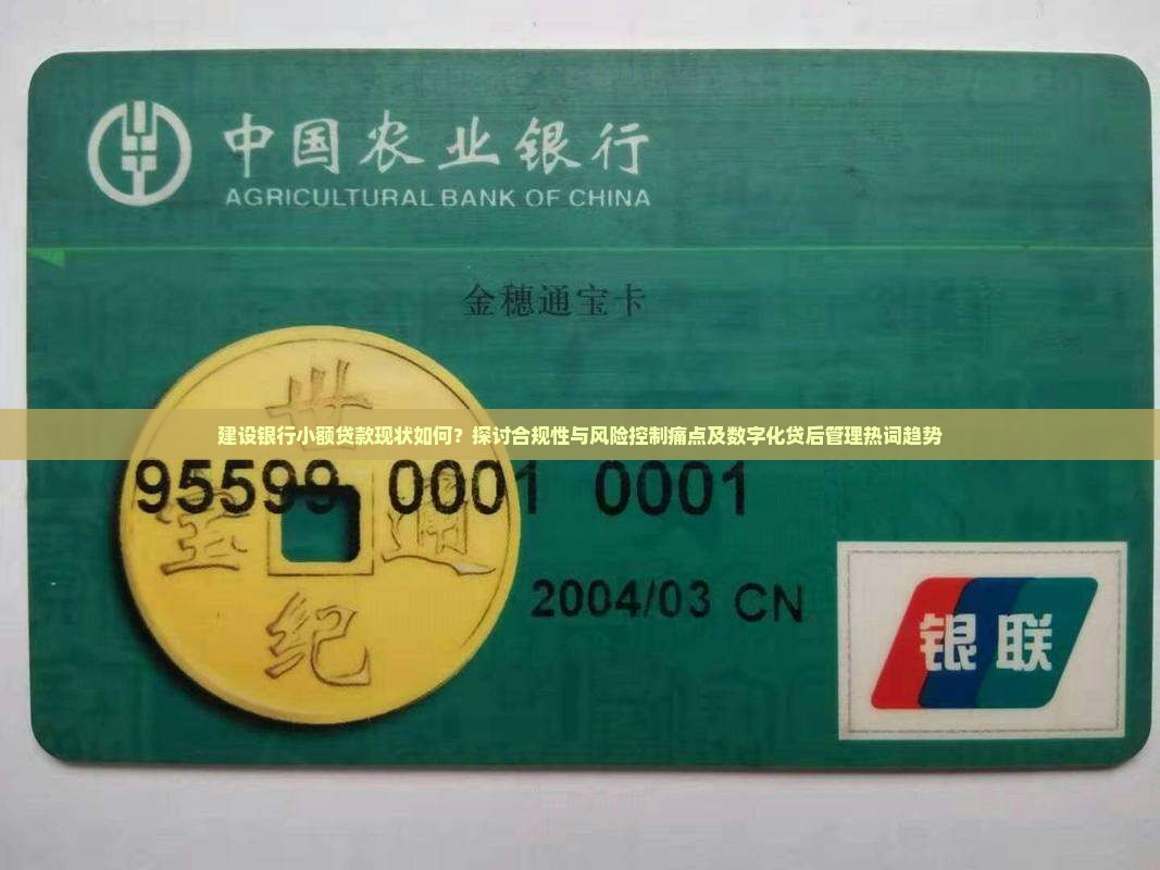 建设银行小额贷款现状