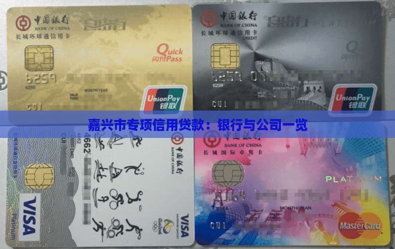 嘉兴市专项信用贷款
