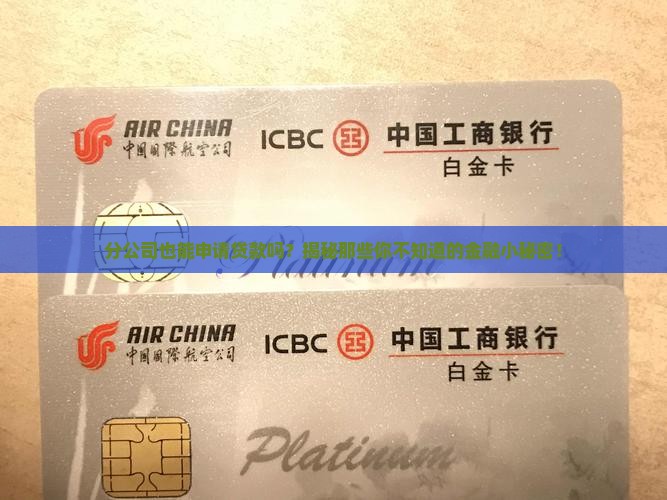 分公司有贷款资格么