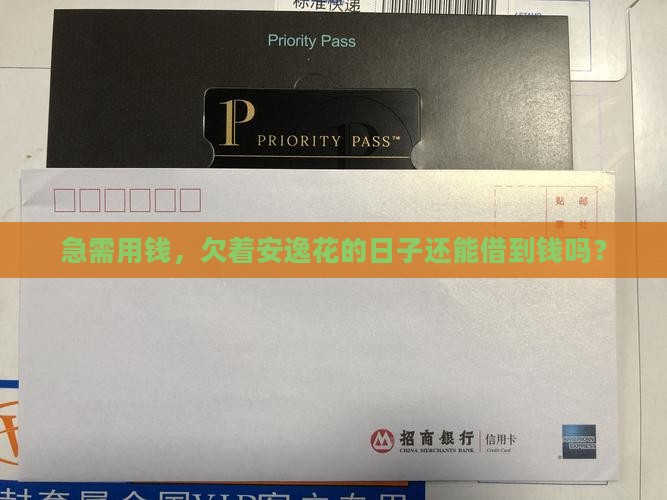 如果欠着安逸花能贷款吗