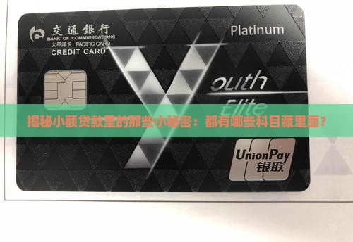 小额贷款包含什么科目