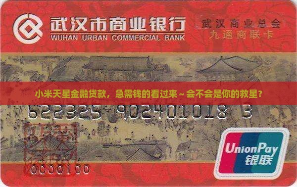 小米天星金融贷款