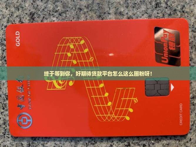 好期待贷款平台