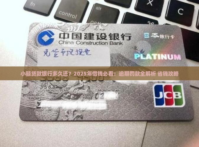 小额贷款银行多久还