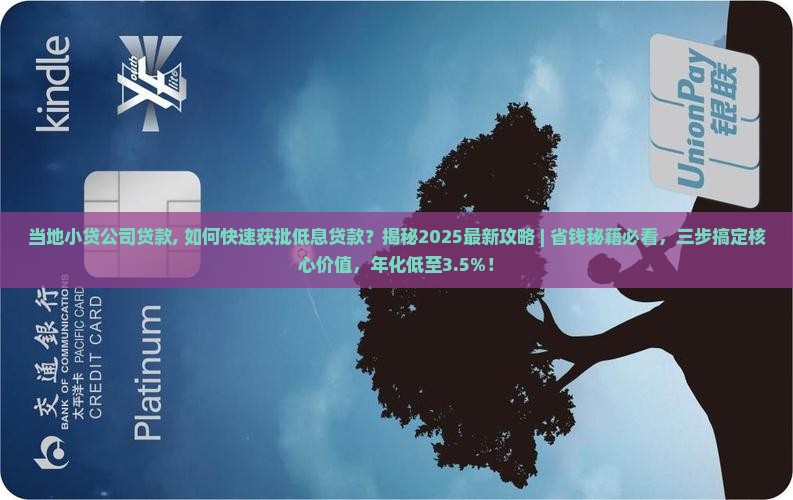 当地小贷公司贷款
