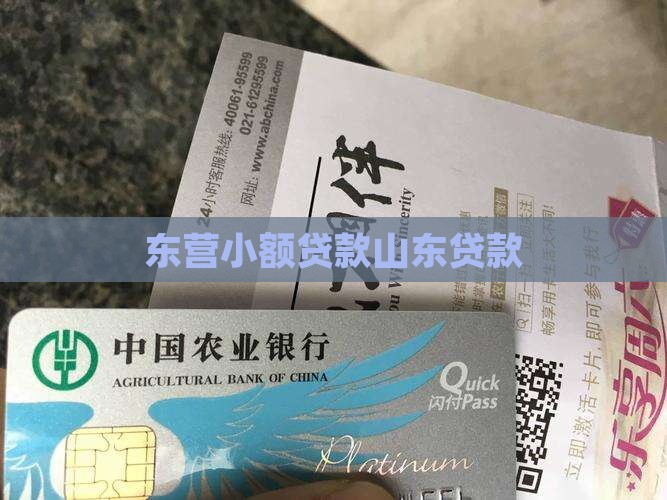 山东东营小额贷款