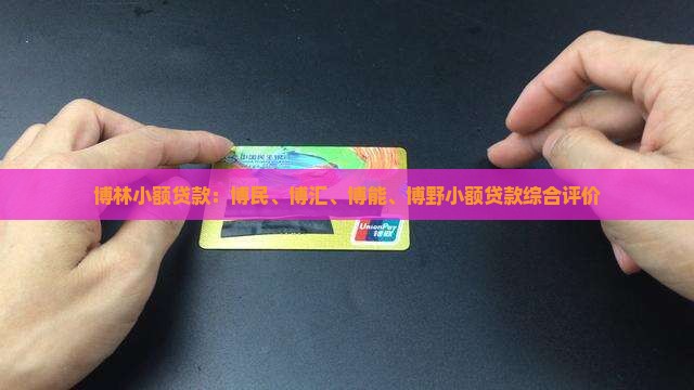 博林小额贷款