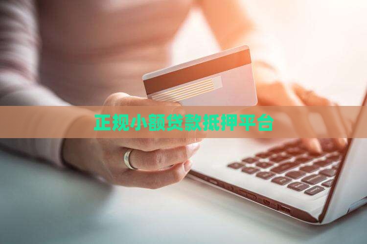 小额贷款抵押平台