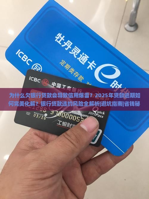 因为欠银行贷款