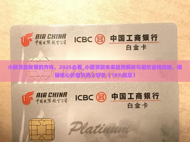 小额贷款发展的方向