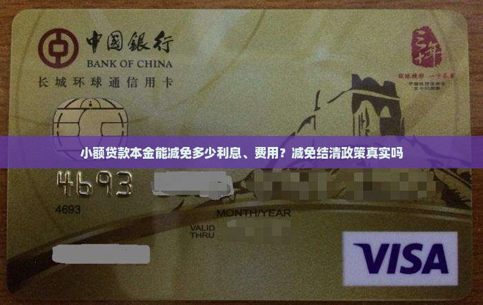 小额贷款本金能减免多少