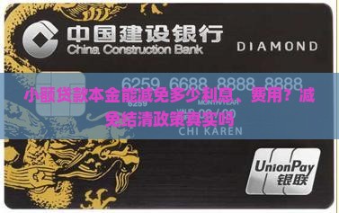 小额贷款本金能减免多少