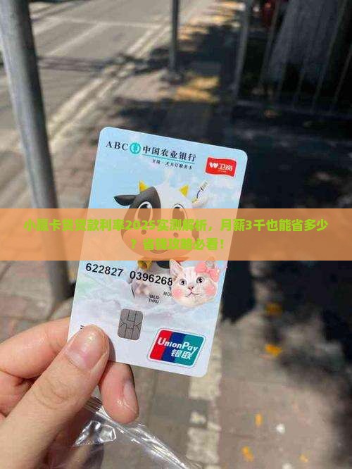 小赢卡贷贷款利率