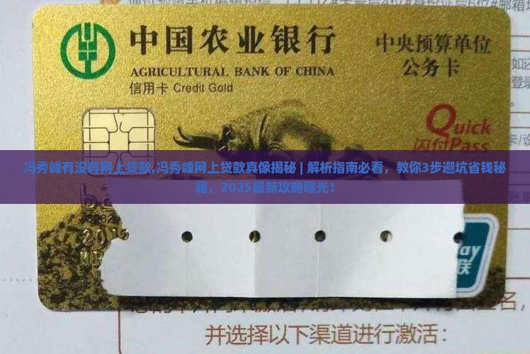 冯秀峰有没有网上贷款
