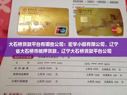 大石桥贷款平台有哪些公司