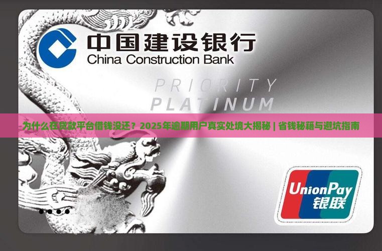 在贷款平台借钱没还