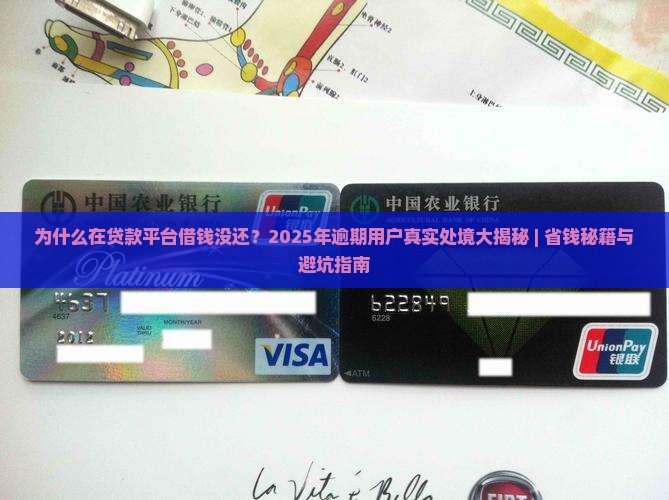 在贷款平台借钱没还