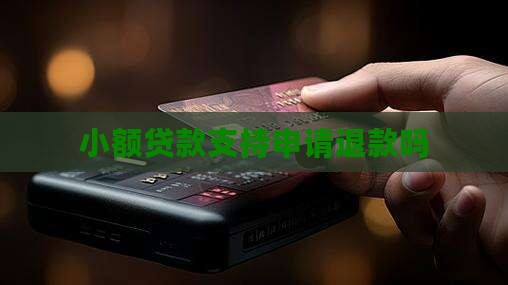 小额贷款可以申请退款