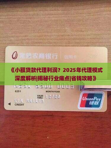 小额贷款代理利润