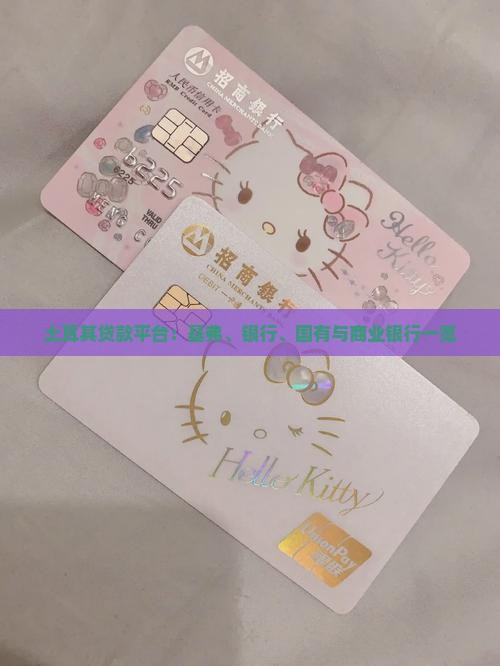 土耳其贷款平台有哪些