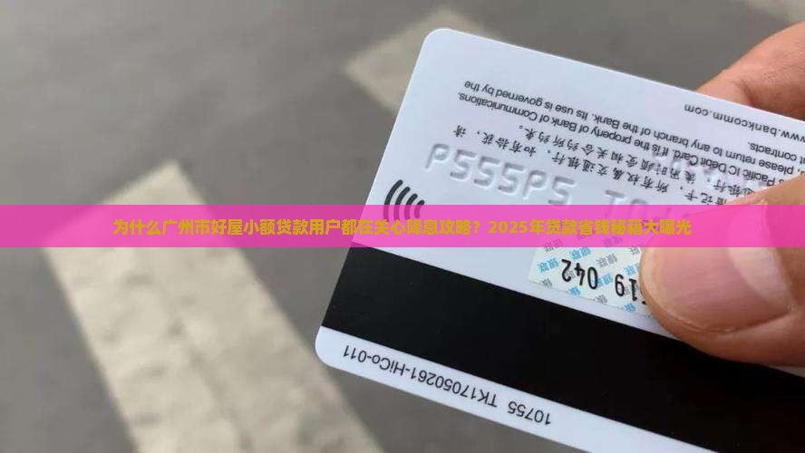 广州市好屋小额贷款