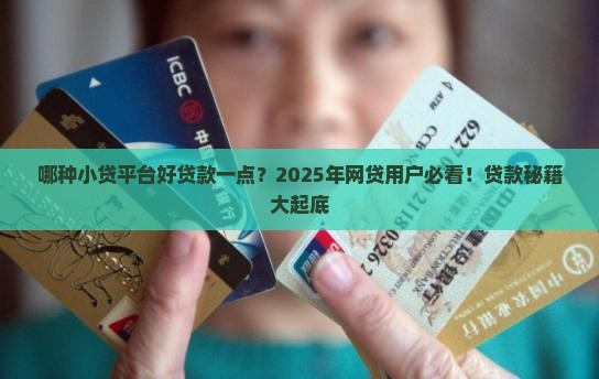哪种小贷平台好贷款一点 哪种小贷平台好贷款一点