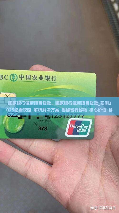 哪家银行做新项目贷款