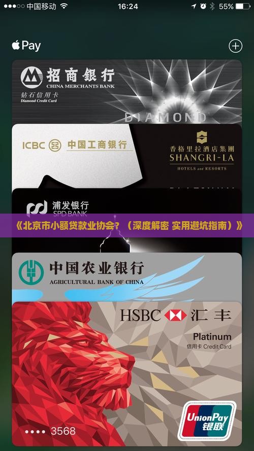 北京市小额贷款业协会
