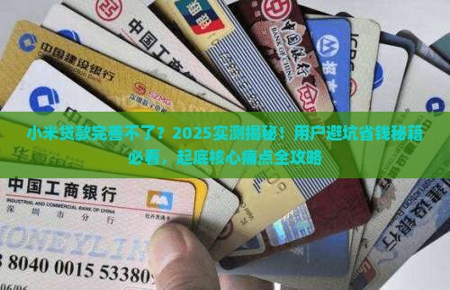 小米贷款完善不了