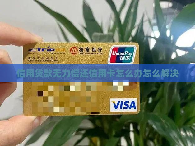 固安信用卡贷款无力偿还