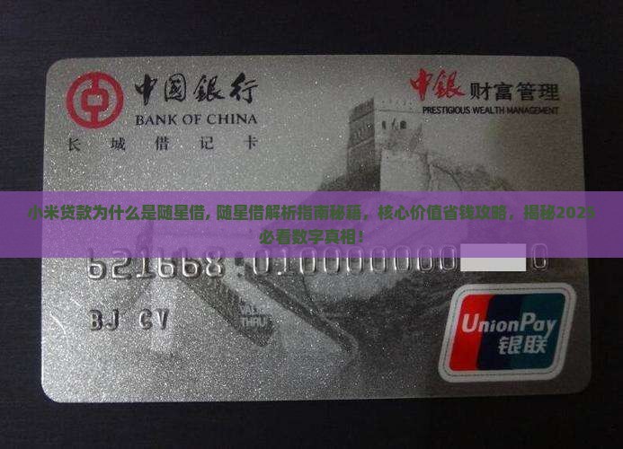 小米贷款为什么是随星借