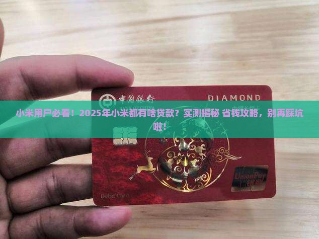 小米都有啥贷款