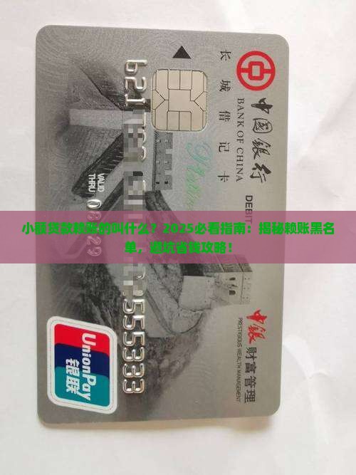 小额贷款赖账的叫什么
