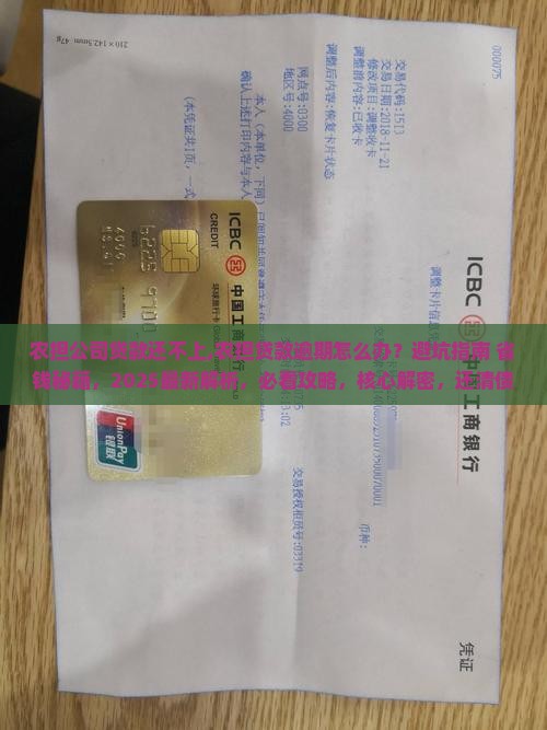 农担公司贷款还不上