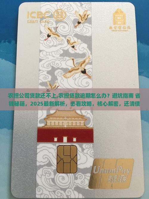农担公司贷款还不上