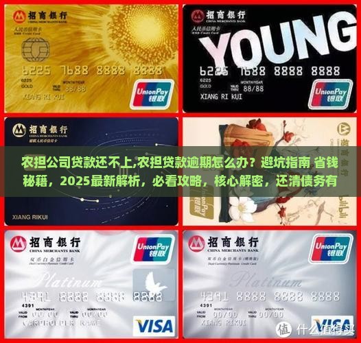 农担公司贷款还不上