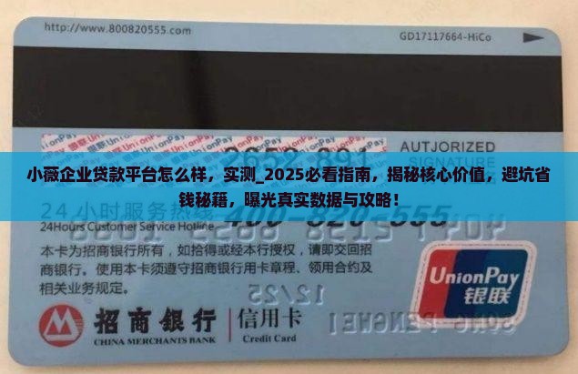 小薇企业贷款平台怎么样