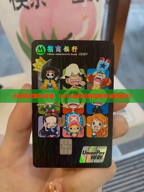 小额贷款集中发展