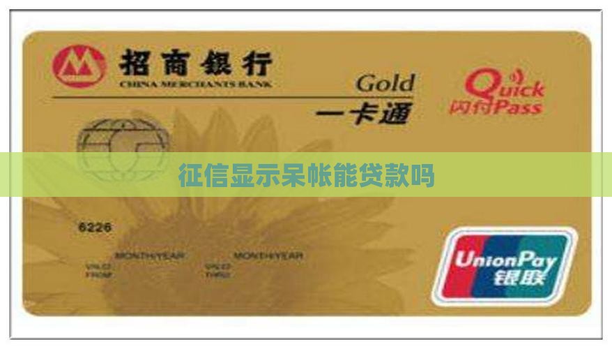 征信显示呆帐能贷款吗