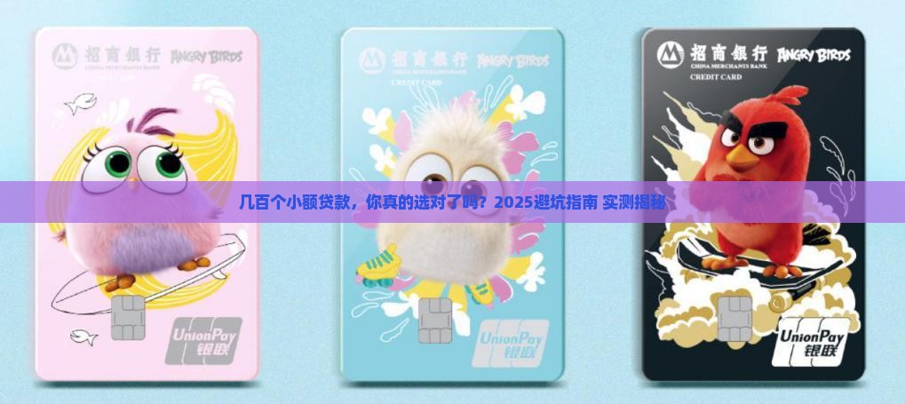 几百个小额贷款