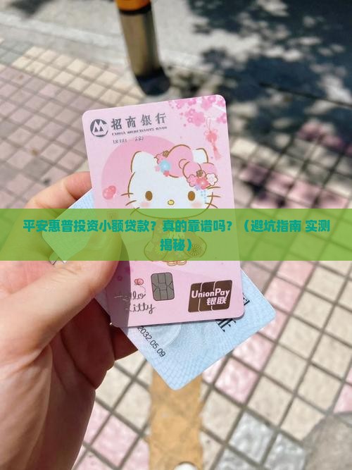 平安惠普投资小额贷款