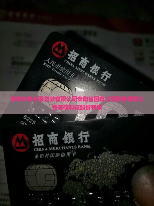 安徽中安小额贷款
