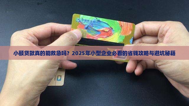 小额贷款与小型企业